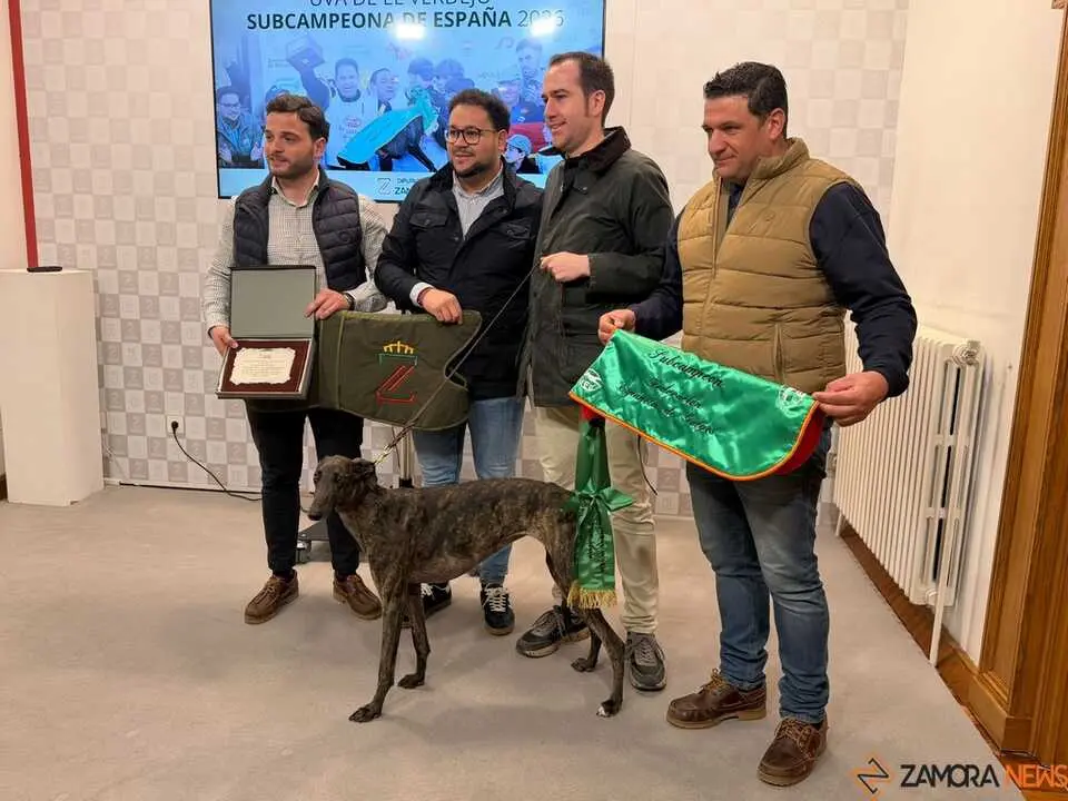   &ldquo;Uva de El Verdejo&rdquo;, galga que se proclam&oacute; subcampeona de Espa&ntilde;a en el Campeonato Nacional de Galgos