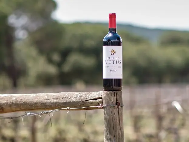 Vino Flor de Vetus. Foto Bodega Vetus