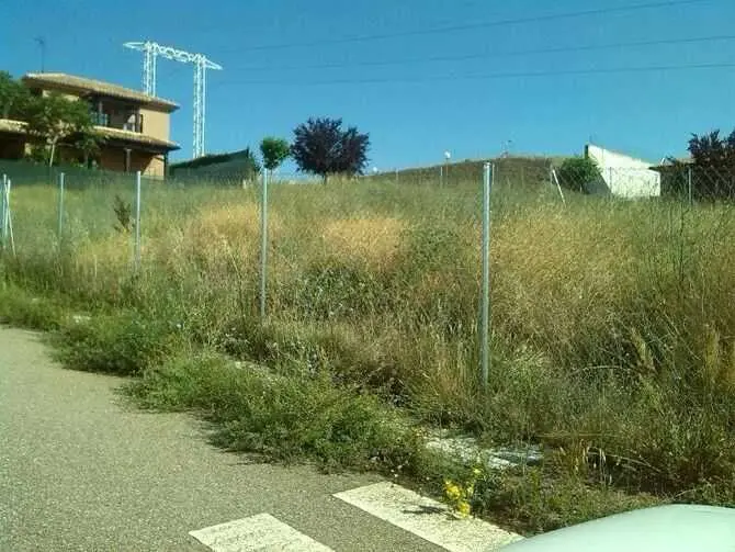 Zona de Bellavista. Foto Interbenavente