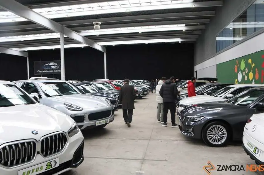 feria del stock Zamora _9