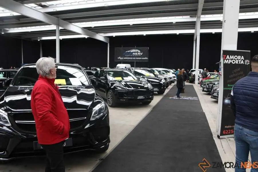 feria del stock Zamora _10