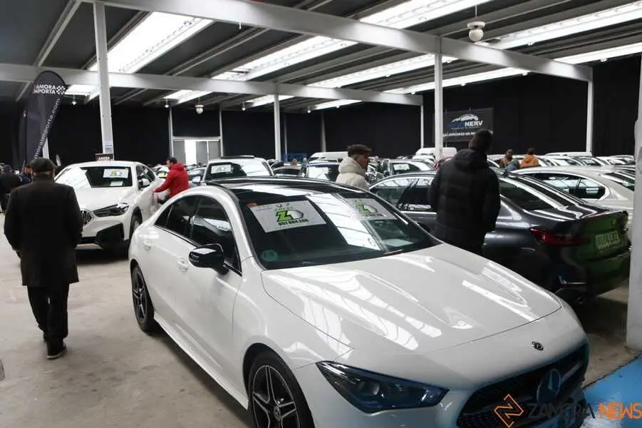 feria del stock Zamora _11