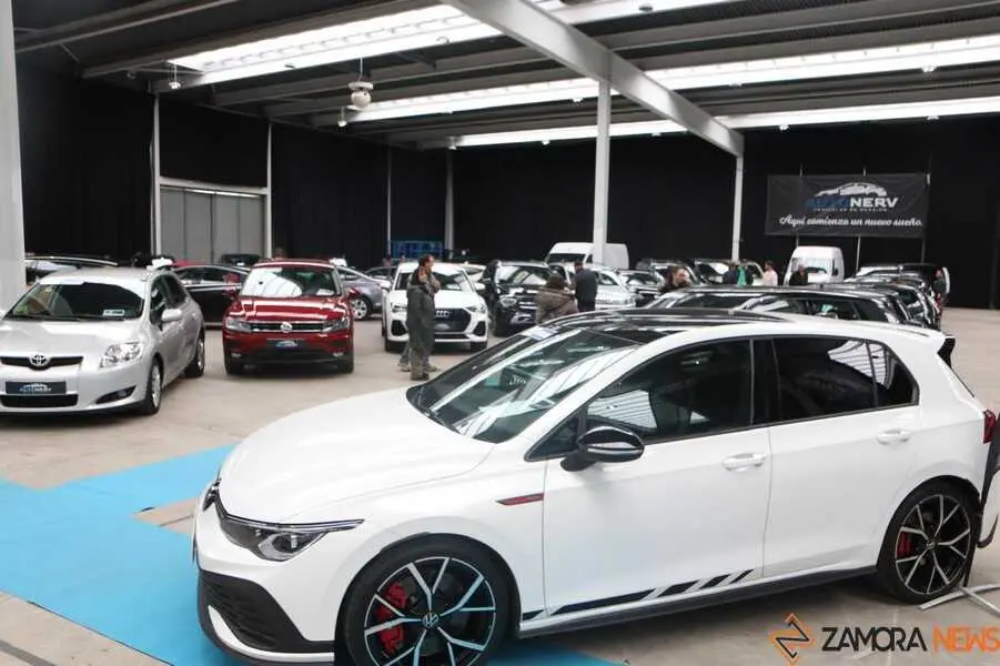 feria del stock Zamora _12