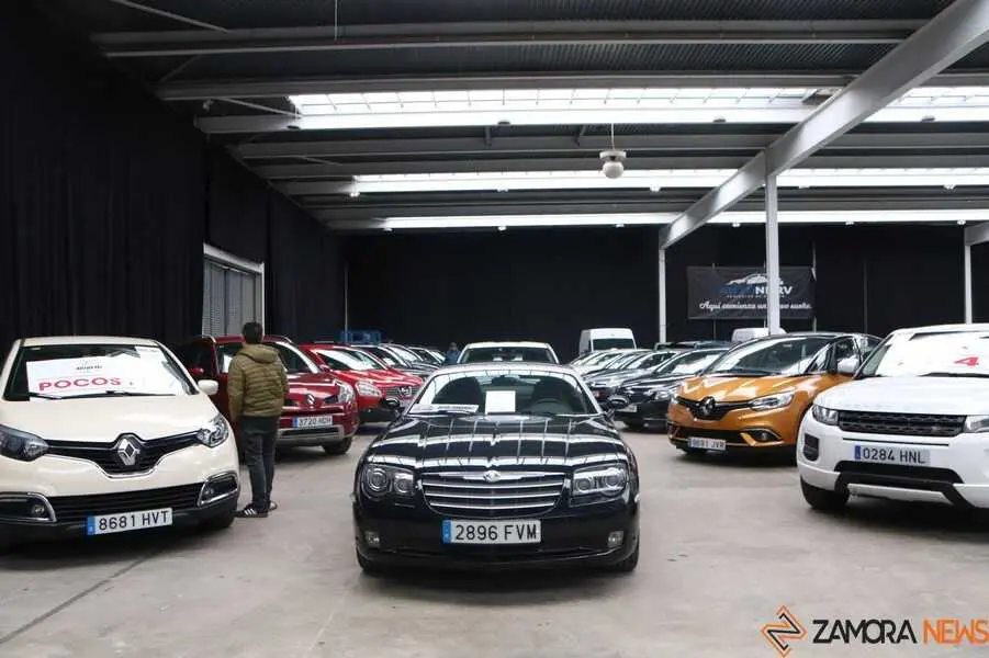 feria del stock Zamora _13