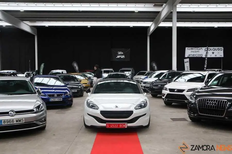 feria del stock Zamora _16