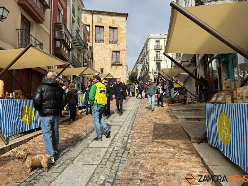 Mercado de Balborraz _21