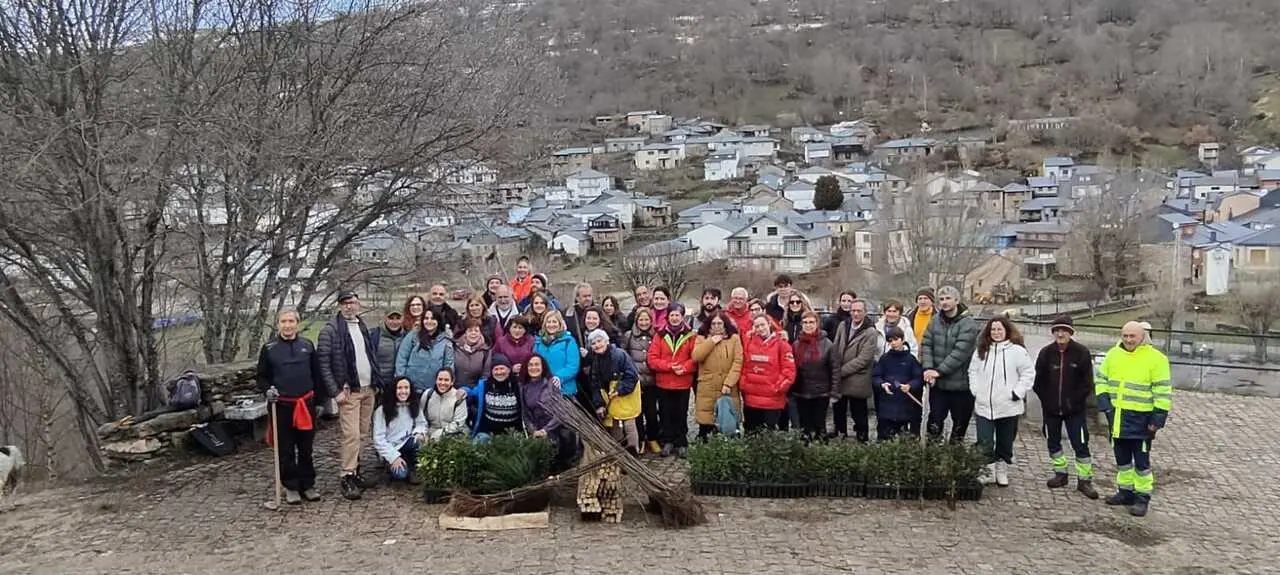 reforestaci&oacute;n en Porto de Sanabria  (1)