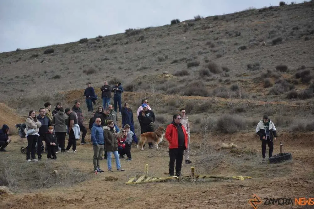 motocross Benegiles 2026_101