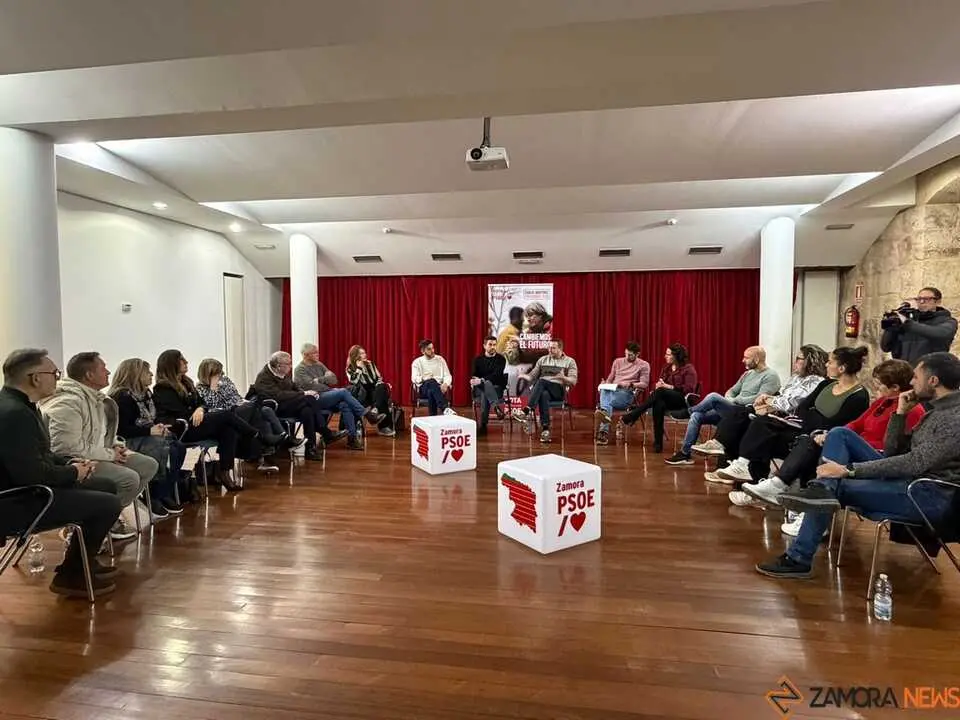 PSOE Zamora Sanidad_2