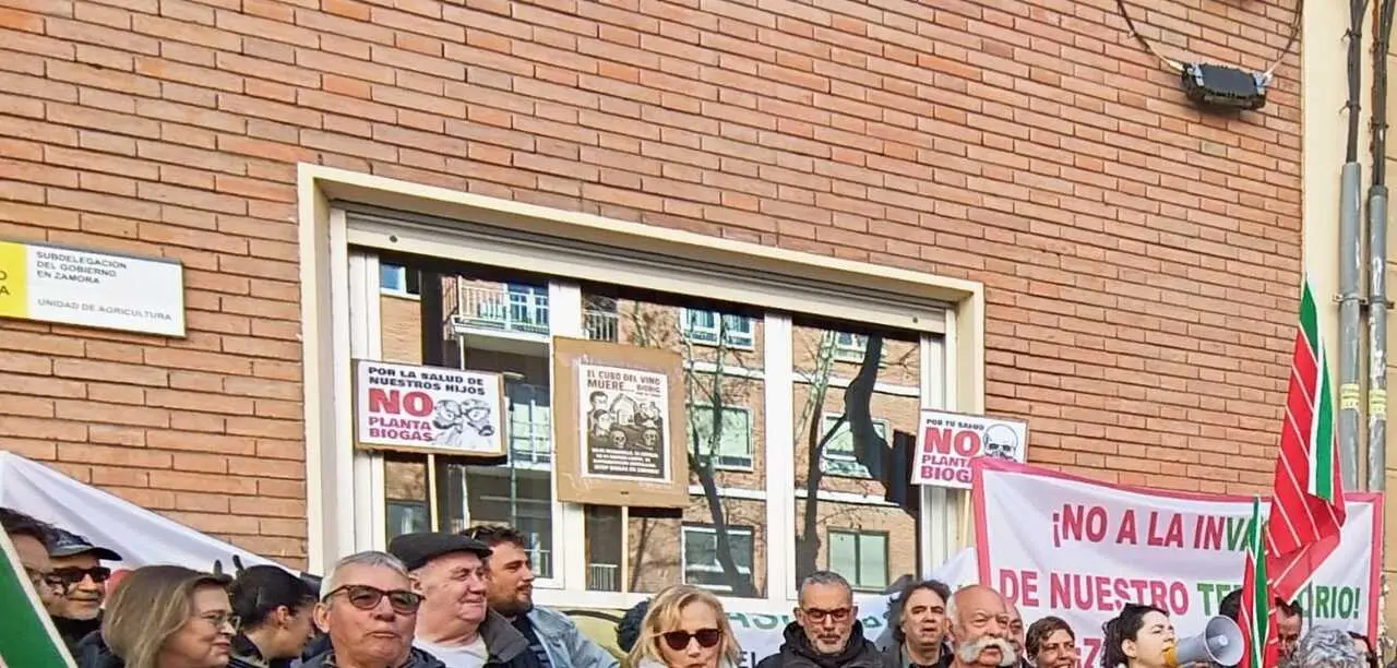Carteles contra las plantas de biog&aacute;s en la sede de la CHD
