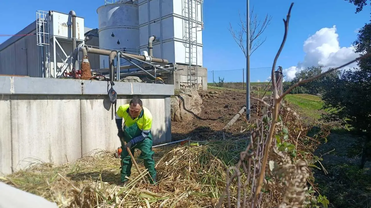 Programa Mixto de Formaci&oacute;n y empleo Fermoselle_2