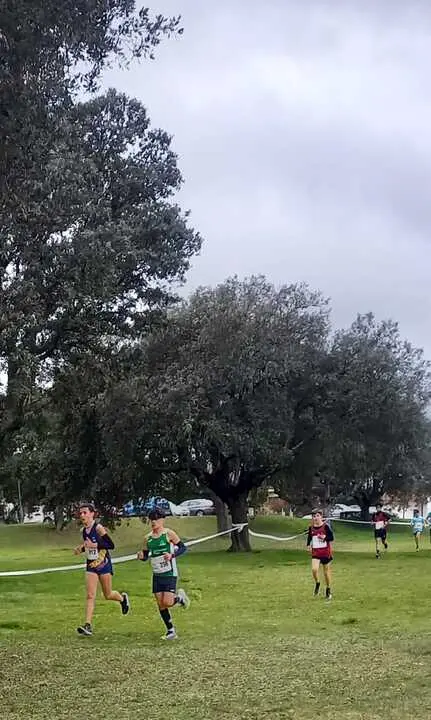 D CADETE MASC. BRUNO