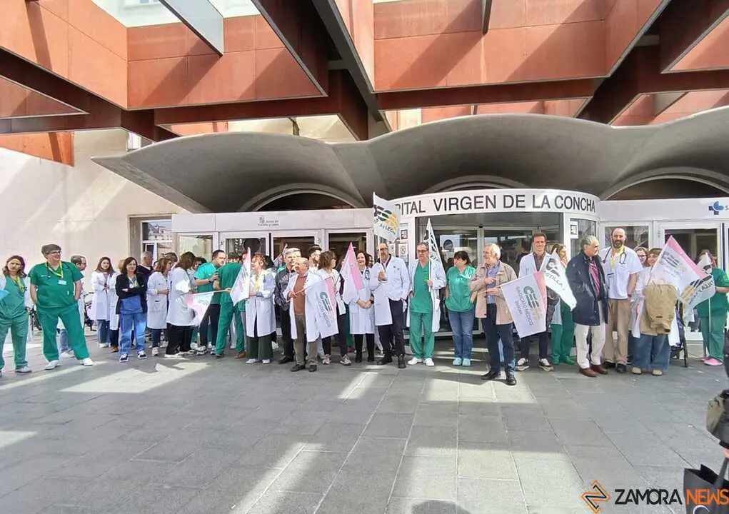 Huelga de m&eacute;dicos Zamora 