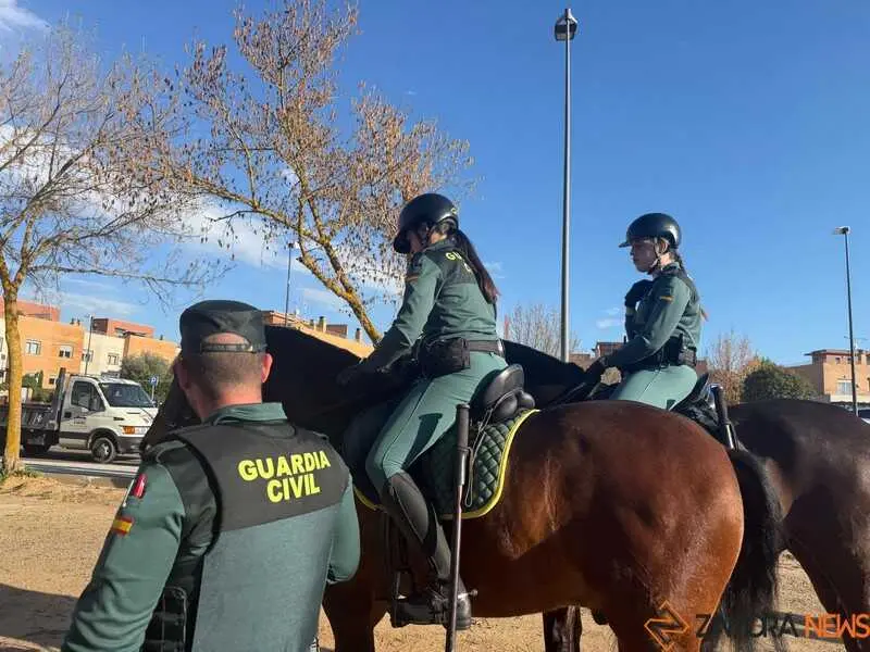 simulacro de una persona desaparecida en Zamora _16