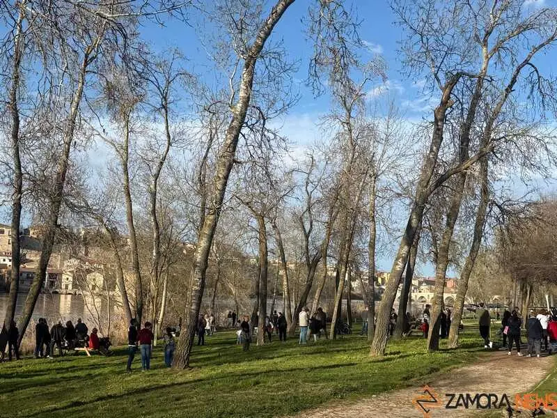 simulacro de una persona desaparecida en Zamora _29