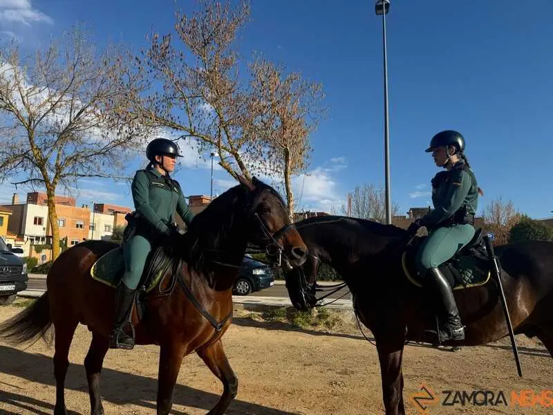 simulacro de una persona desaparecida en Zamora _45
