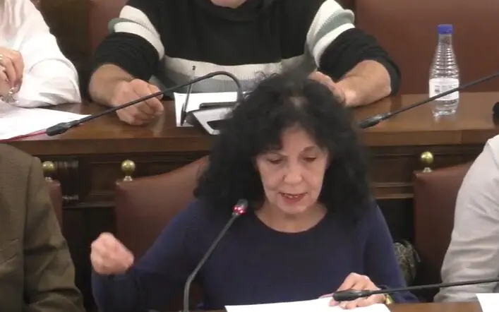 Laura Rivera en el pleno de la Diputaci&oacute;n de Zamora