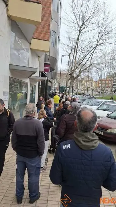 Reparto de plantas Junta de CyL Zamora 