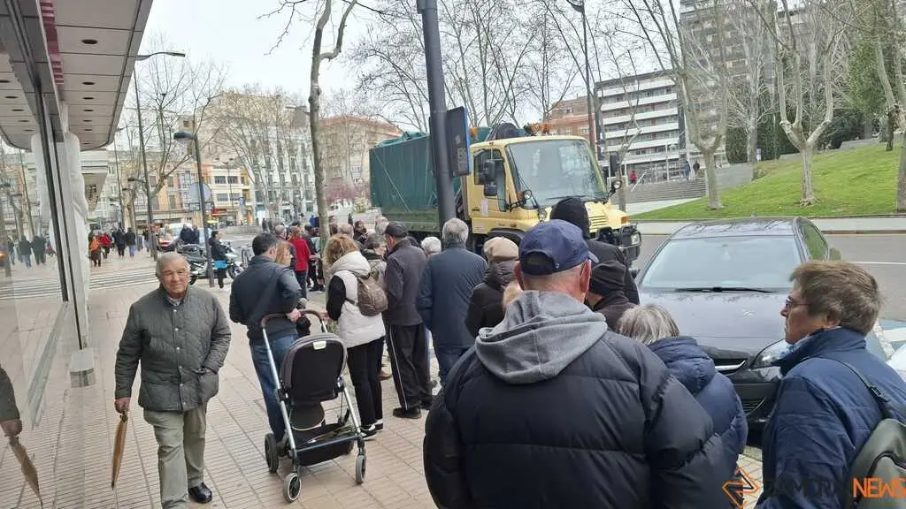 Reparto de plantas Junta de CyL Zamora _3