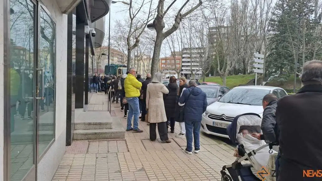 Reparto de plantas Junta de CyL Zamora _4