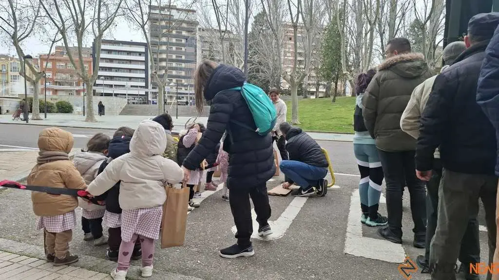 Reparto de plantas Junta de CyL Zamora _5