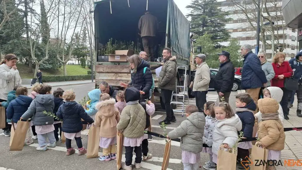 Reparto de plantas Junta de CyL Zamora _6