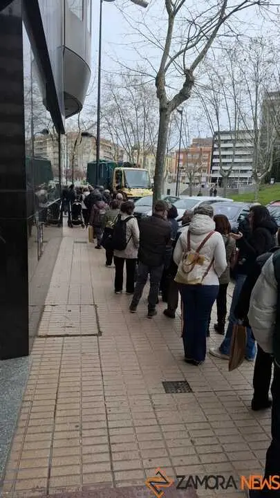 Reparto de plantas Junta de CyL Zamora _7