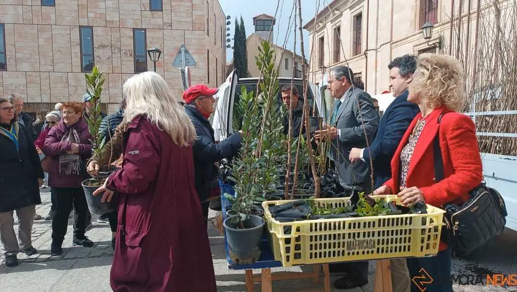 reparto de plantas Diputaci&oacute;n de Zamora _7