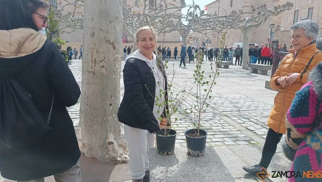 reparto de plantas Diputaci&oacute;n de Zamora _12