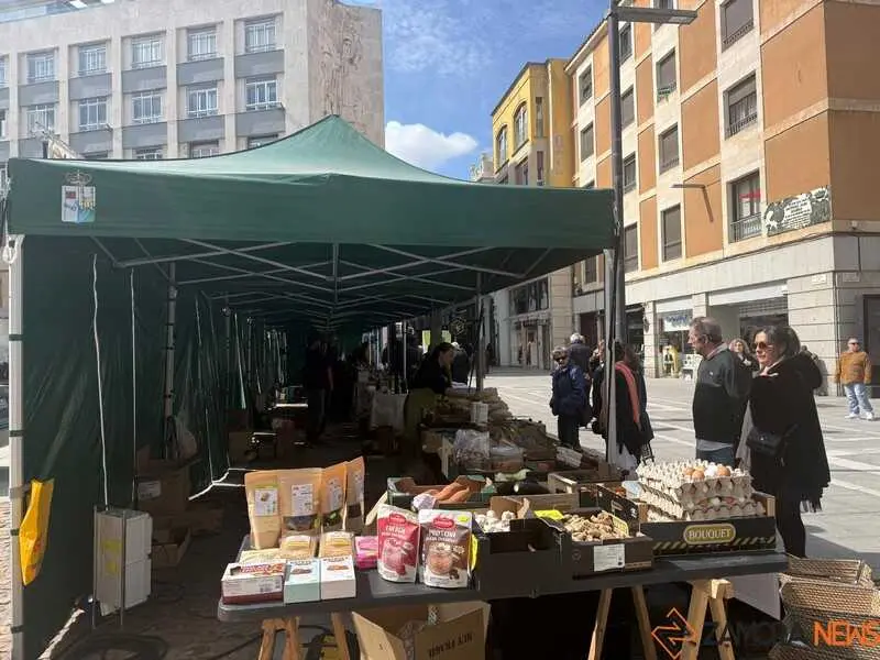 mercado ecol&oacute;gico 