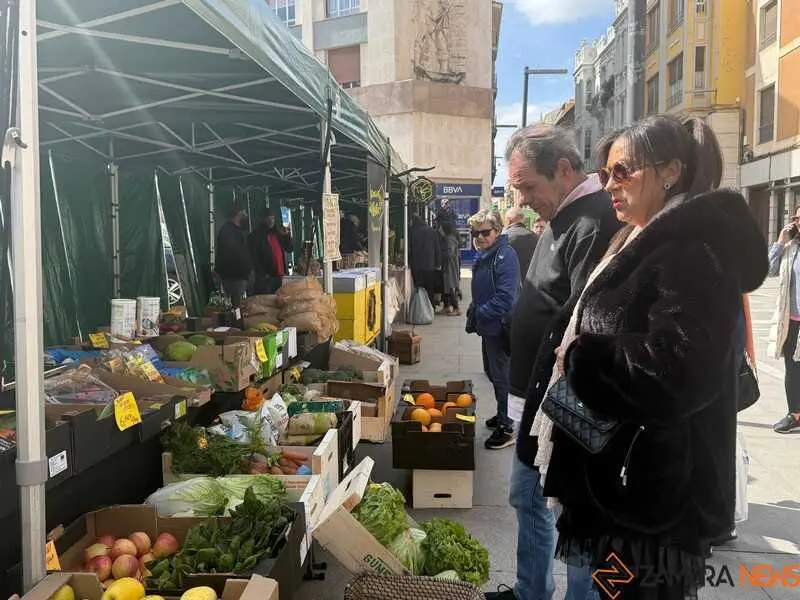 mercado ecol&oacute;gico _2