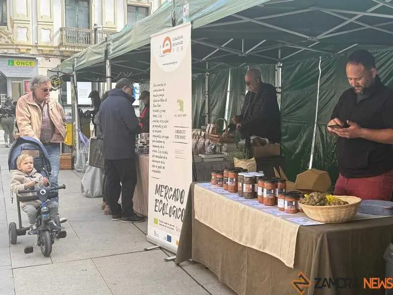 mercado ecol&oacute;gico _12