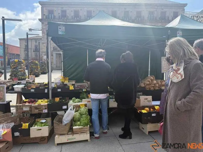 mercado ecol&oacute;gico _14