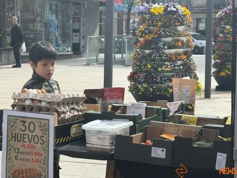 mercado ecol&oacute;gico _15