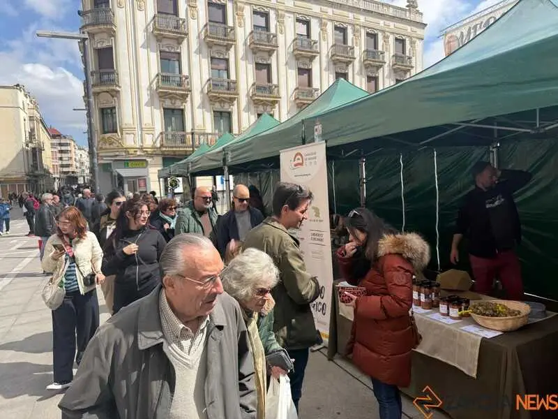 mercado ecol&oacute;gico _18