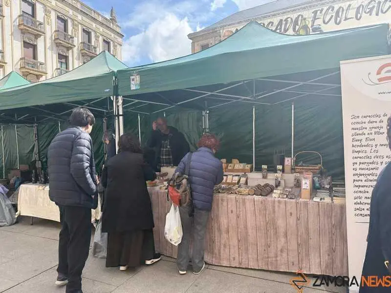 mercado ecol&oacute;gico _19