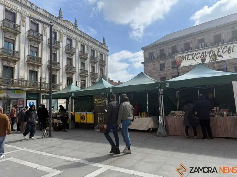 mercado ecol&oacute;gico _20