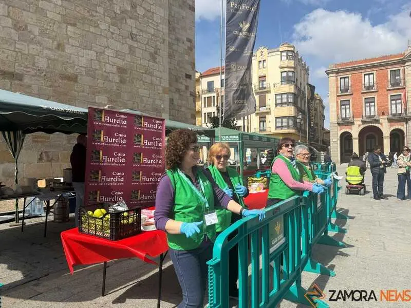 sopas de ajo en Zamora 