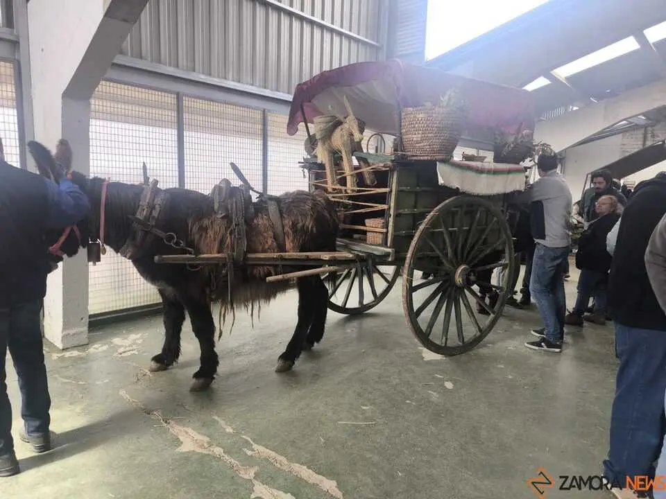 Buches san vitero 2026