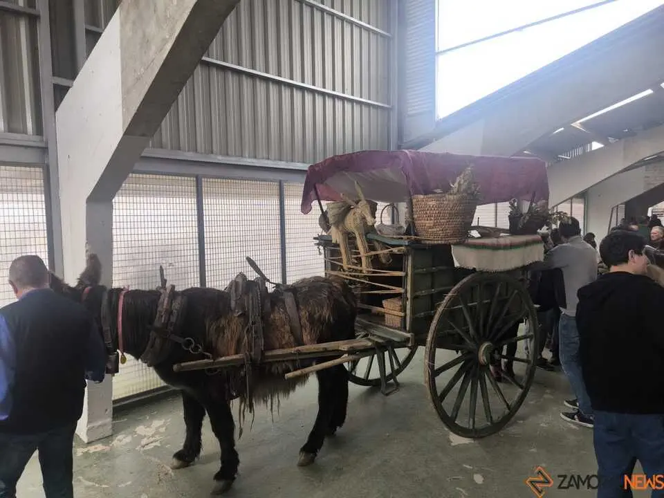 Buches san vitero 2026_5