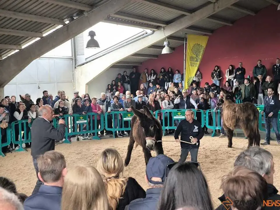 Buches san vitero 2026_8