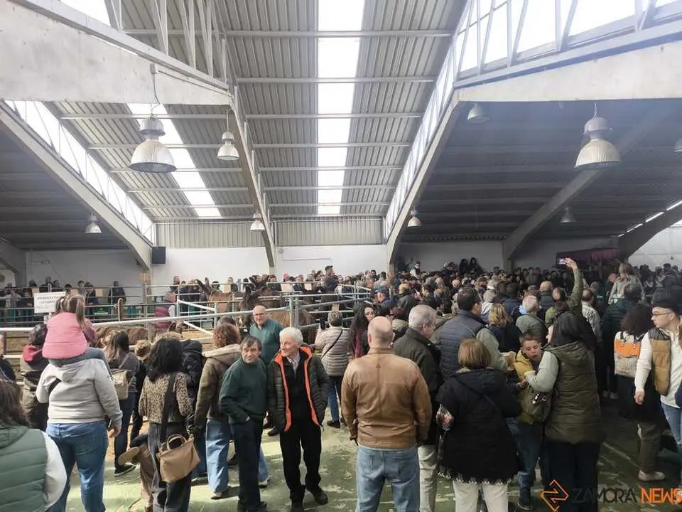 Buches san vitero 2026_9