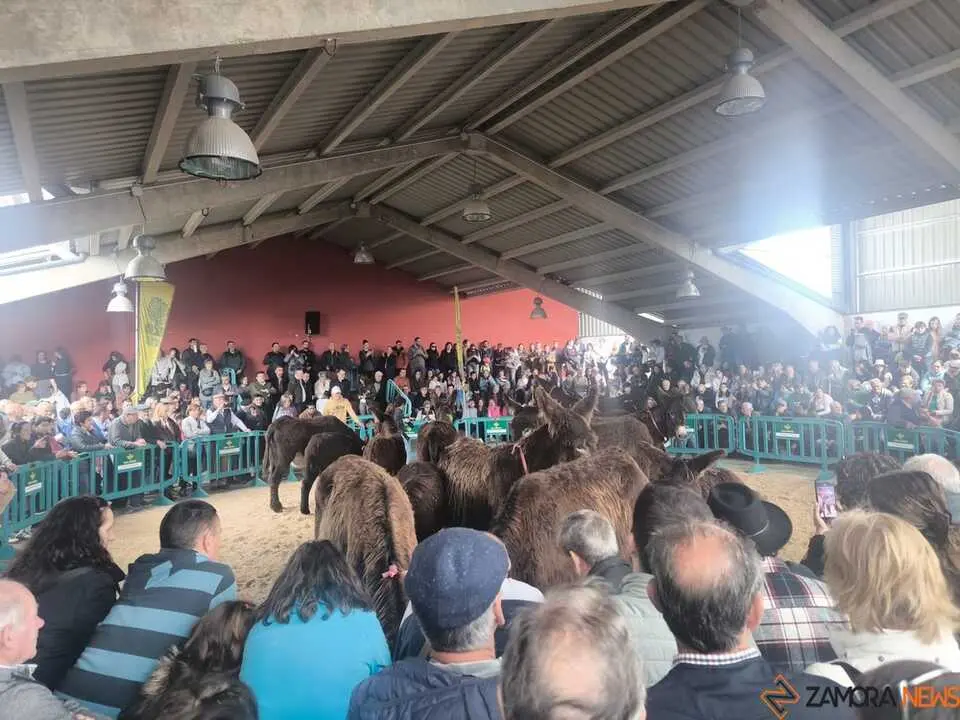 Buches san vitero 2026_14