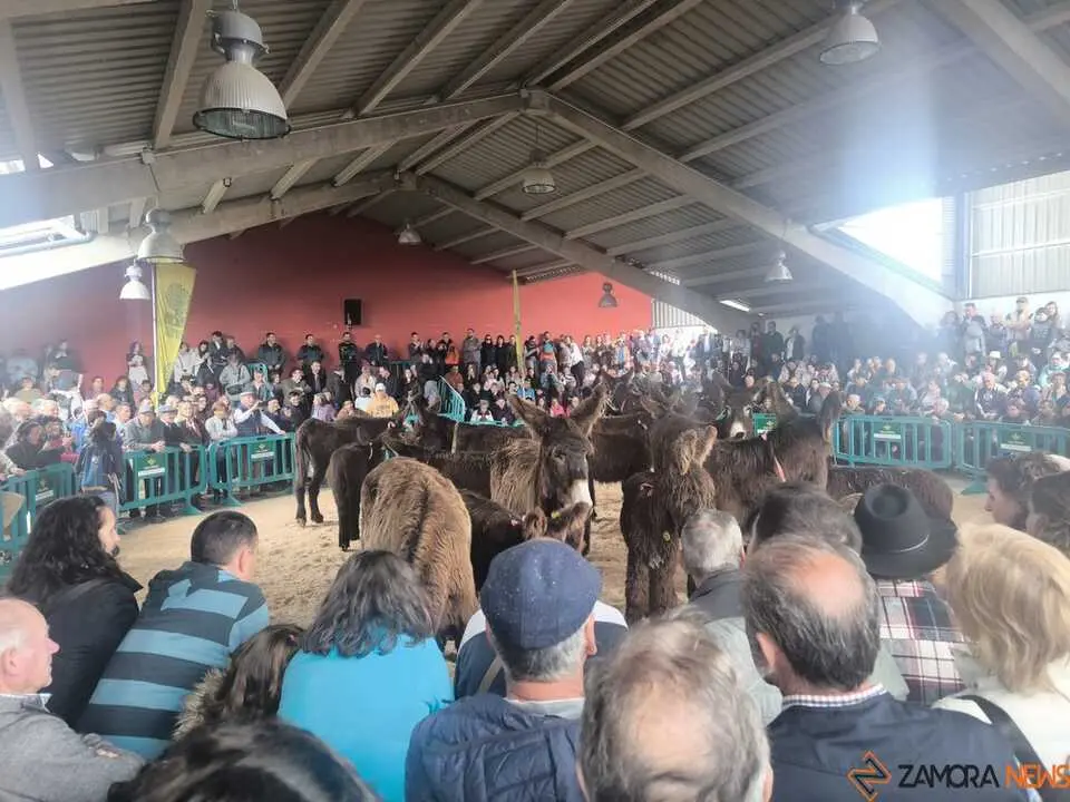 Buches san vitero 2026_16