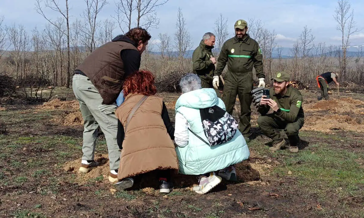 dia del &aacute;rbol mombuey