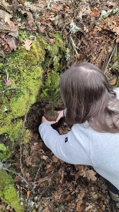 Cryosanabria impulsa la reforestaci&oacute;n en Sanabria tras incendios forestales