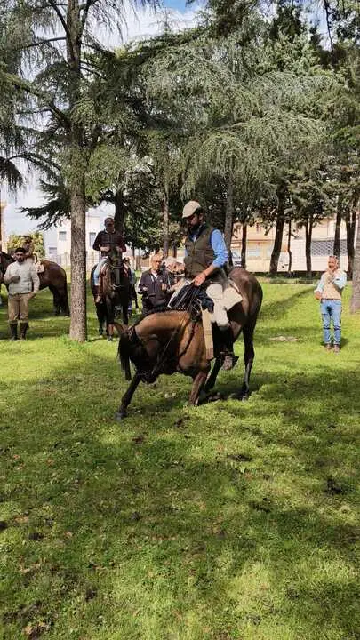Camino Flamenco Morales del Vino (6)