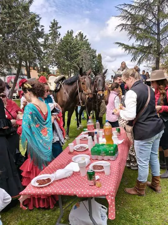 Camino Flamenco Morales del Vino (7)