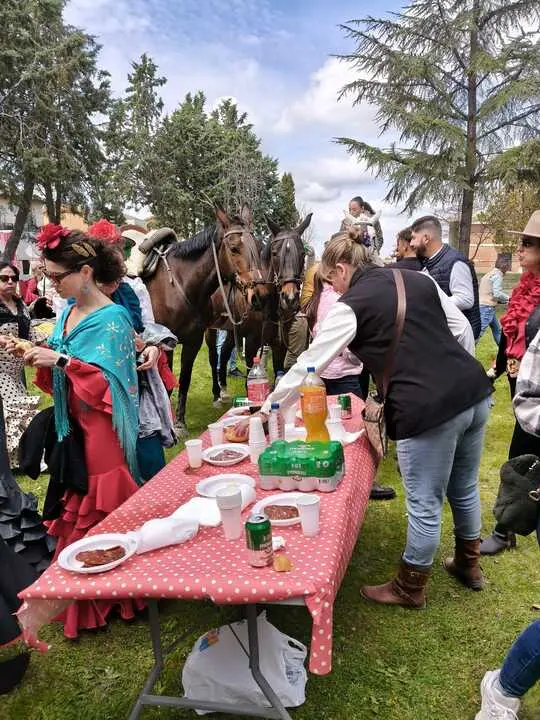 Camino Flamenco Morales del Vino (8)