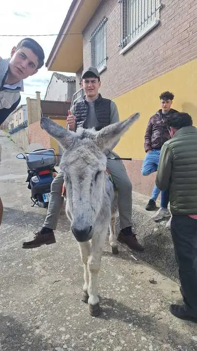 Camino Flamenco Morales del Vino (11)